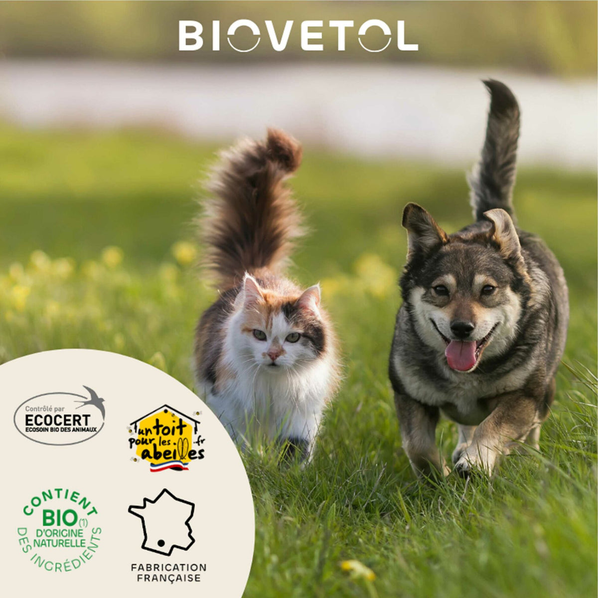 Bio-Reinigungslotion für die Ohren von Hunden und Katzen