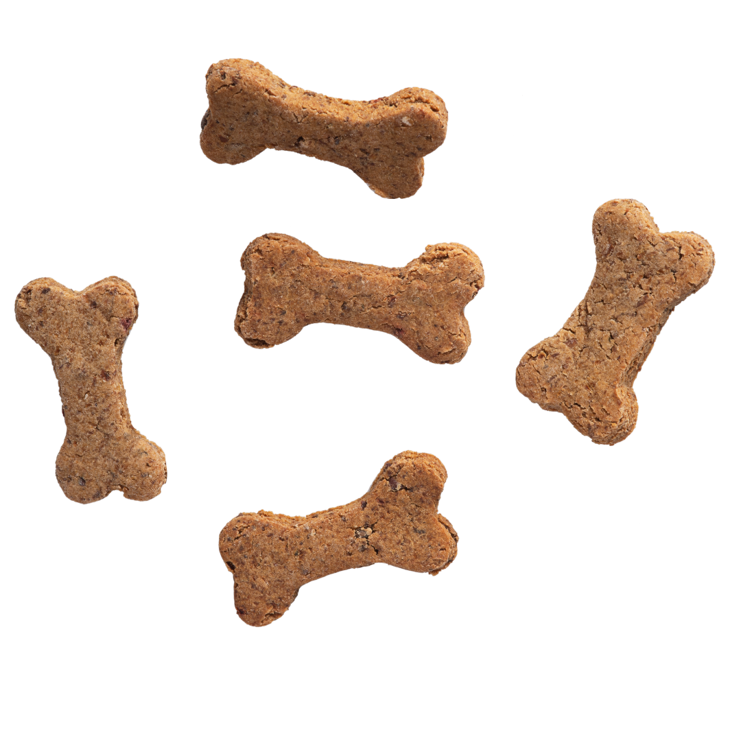 Biscuits croquants au bœuf en forme d’os