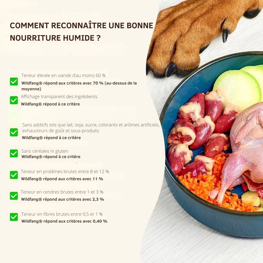 Pâté pur bœuf qualité BARF pour chiens adultes