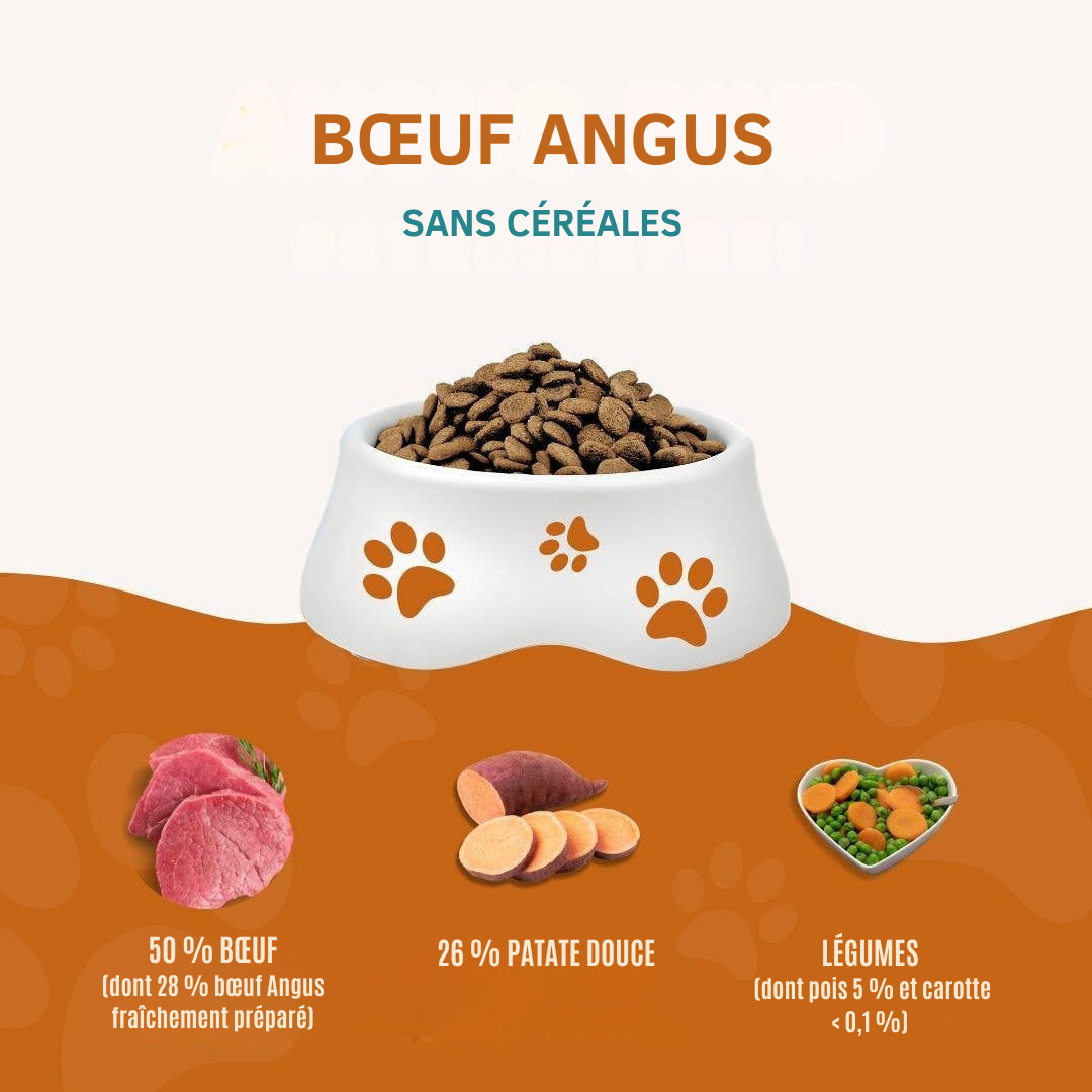 Trockenfutter mit Angus-Rind für ausgewachsene Hunde