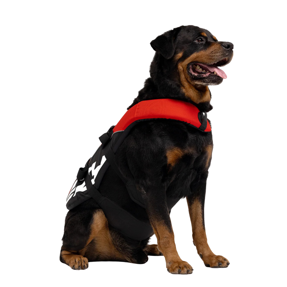 Gilet de sauvetage pour chiens