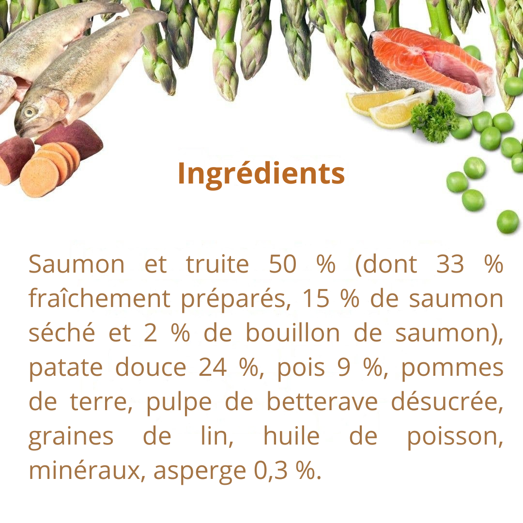 Trockenfutter mit Lachs und Forelle für ausgewachsene Hunde