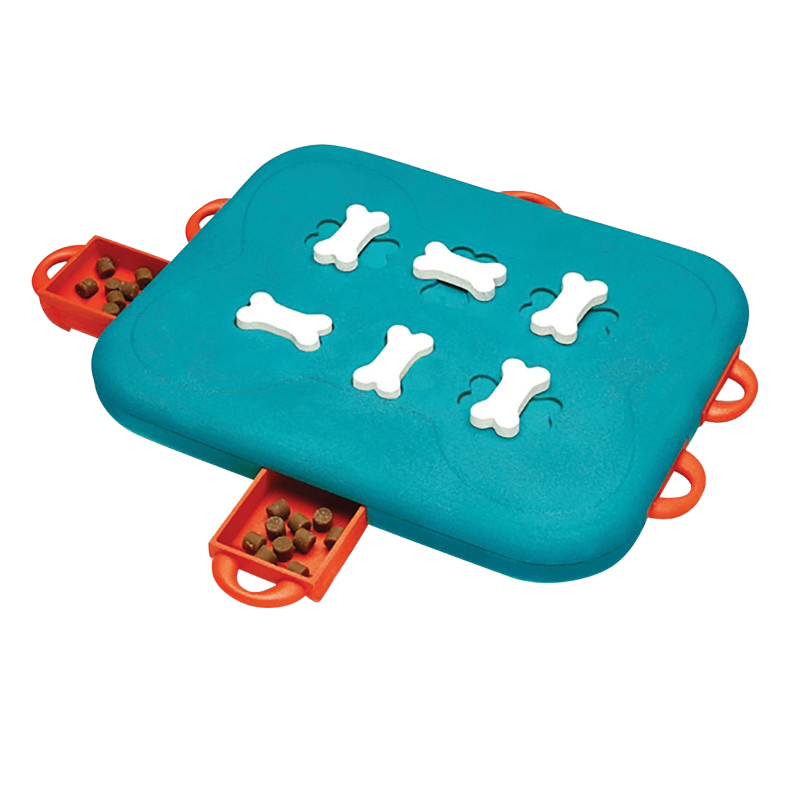 Dog Casino Denkspiel Level 3 für Hunde