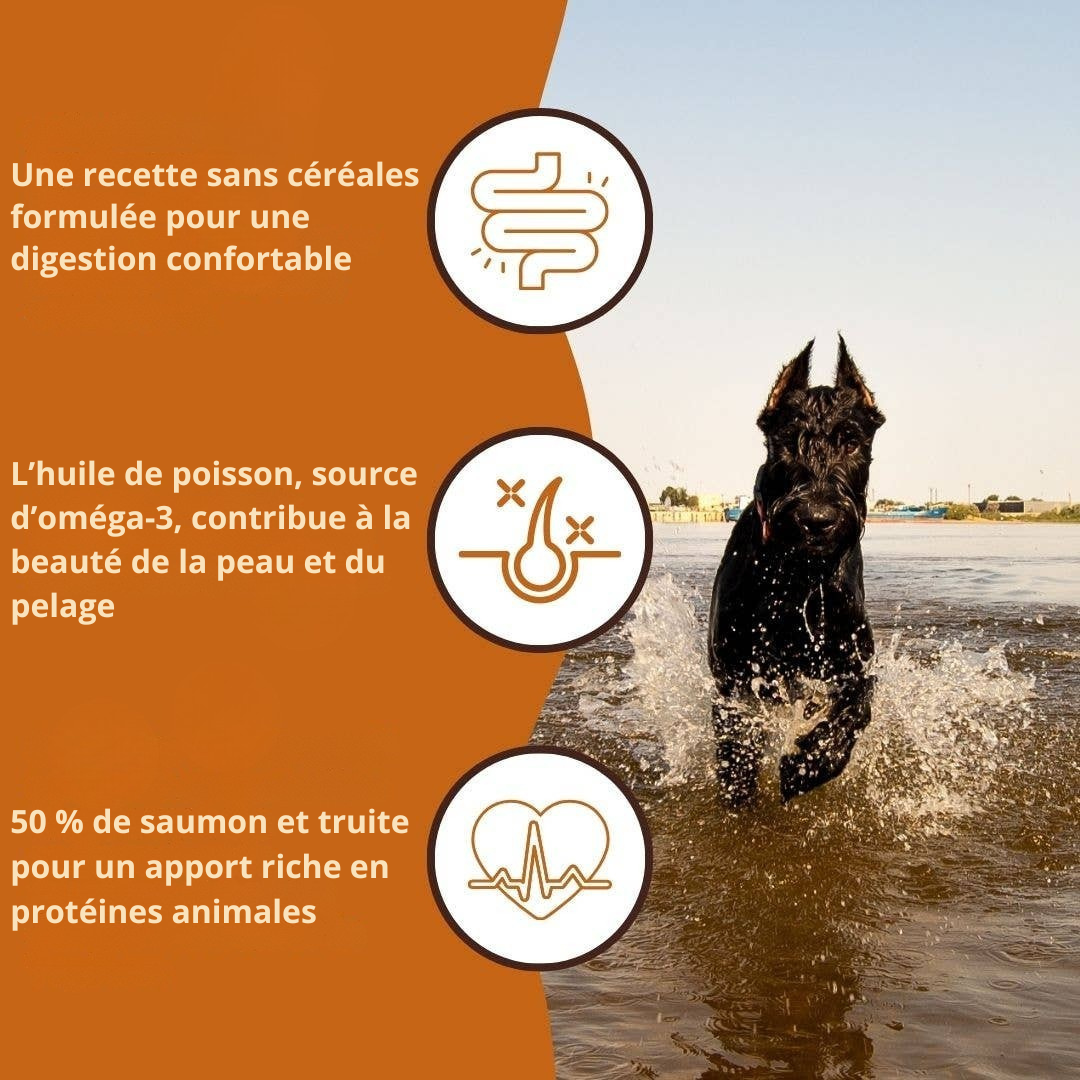 Trockenfutter mit Lachs und Forelle für ausgewachsene Hunde