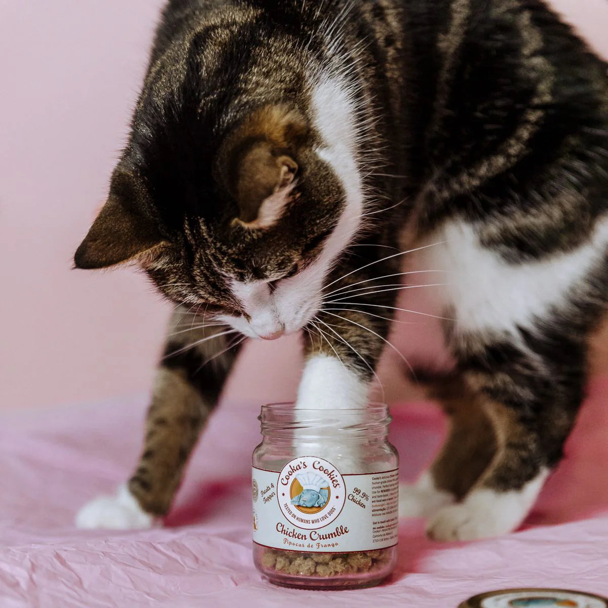 Crumble de poulet déshydraté pour chiens et chats