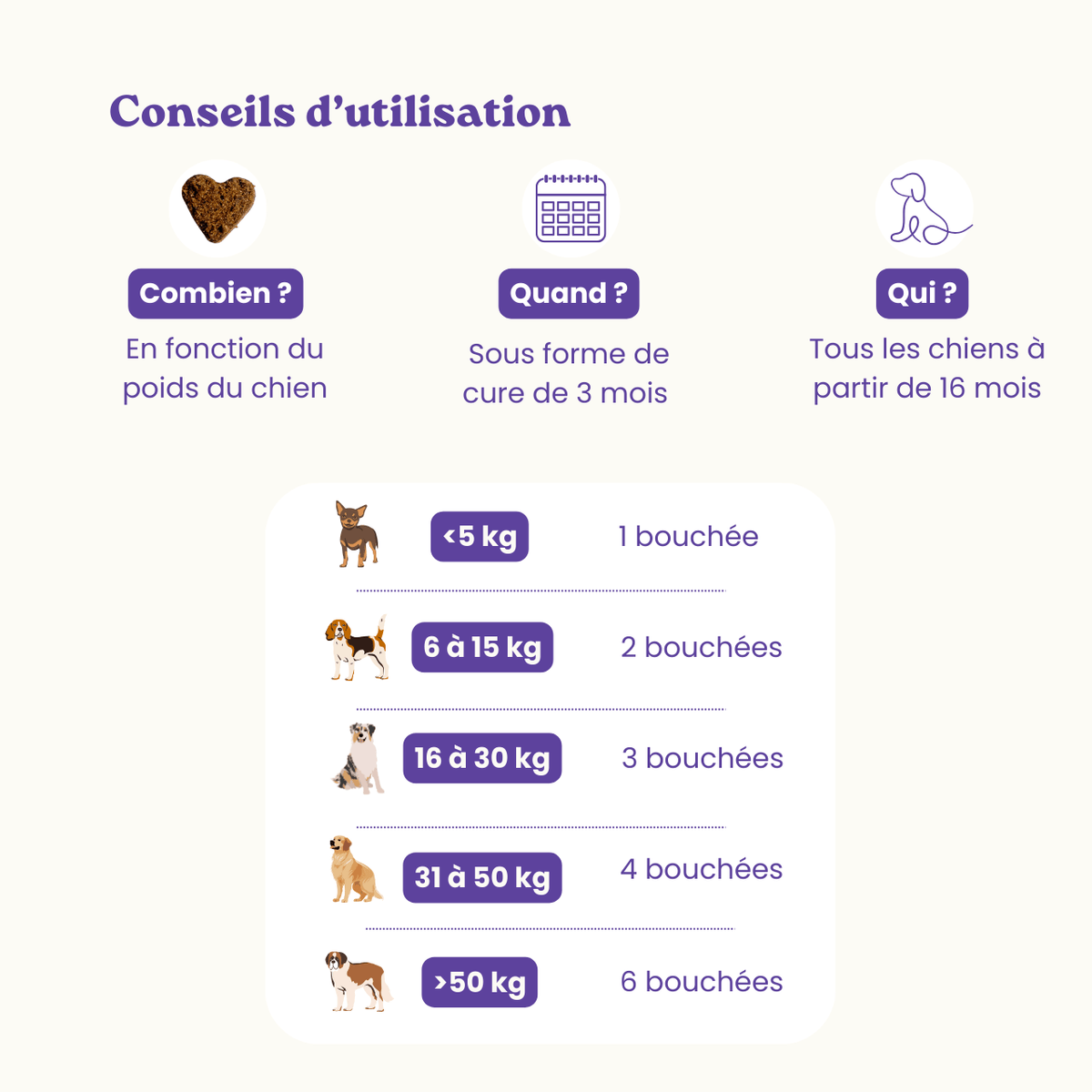 Anti-Stress-Nahrungsergänzungsmittel für Hunde