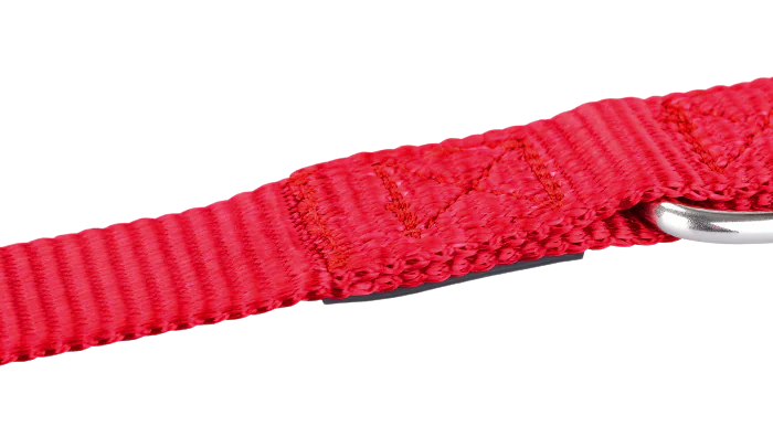 Verstellbares Nylonhalsband für Hunde