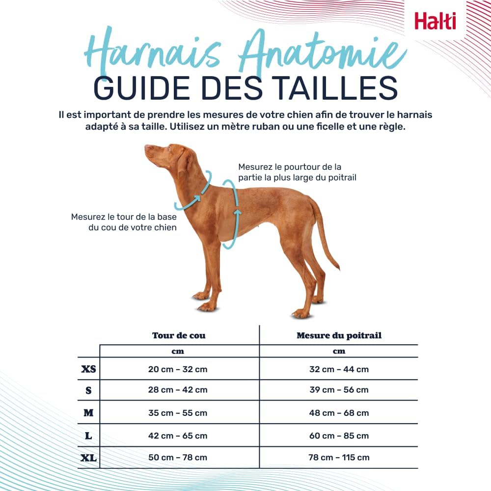 Anatomisches, verstellbares Hundegeschirr
