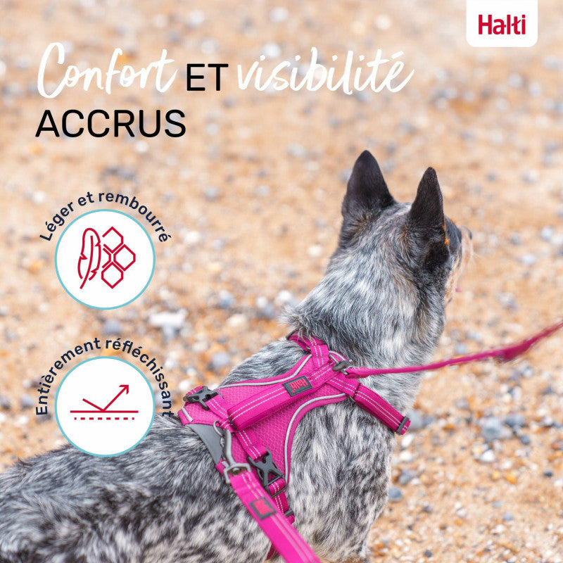 Anatomisches, verstellbares Hundegeschirr
