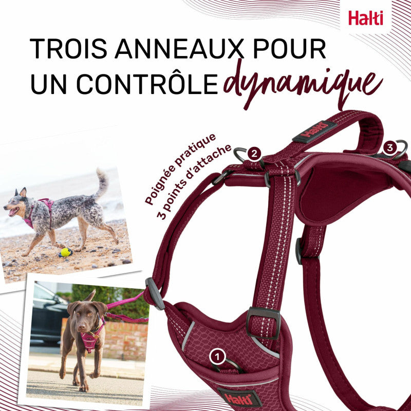 Anatomisches, verstellbares Hundegeschirr