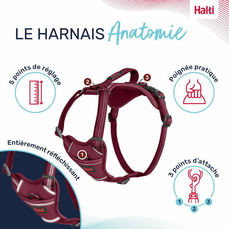Anatomisches, verstellbares Hundegeschirr