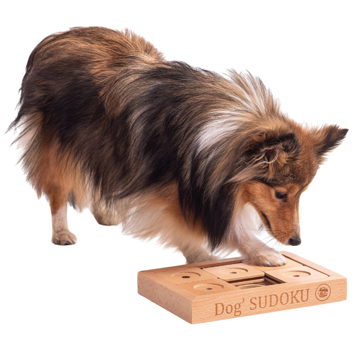 Jeu de réflexion Sudoku avancé en bois pour petits chiens et chats