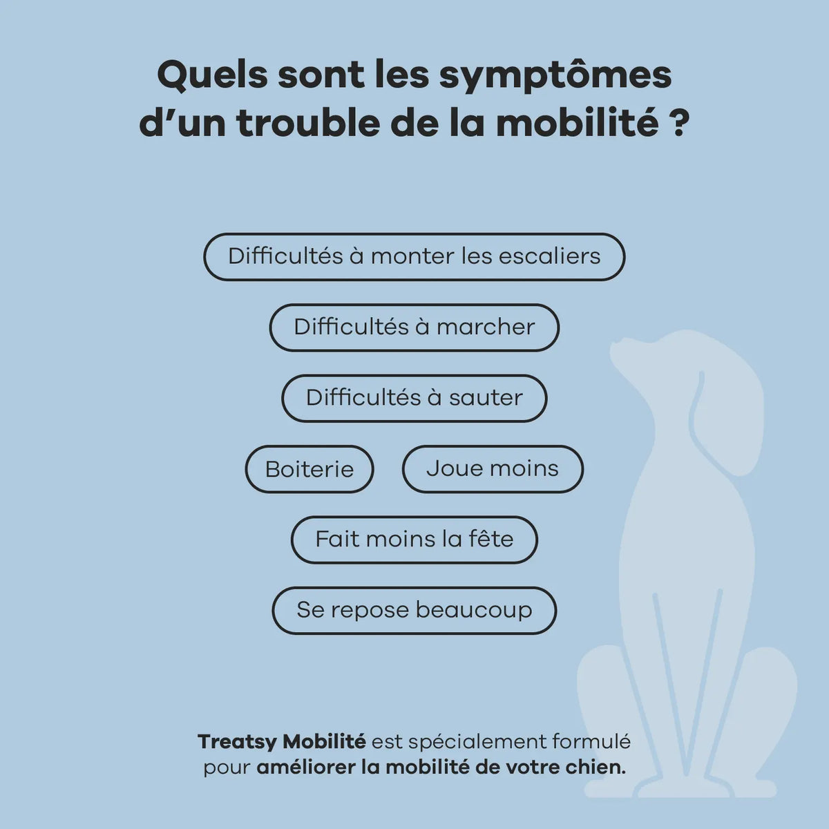 Complément alimentaire mobilité pour chiens