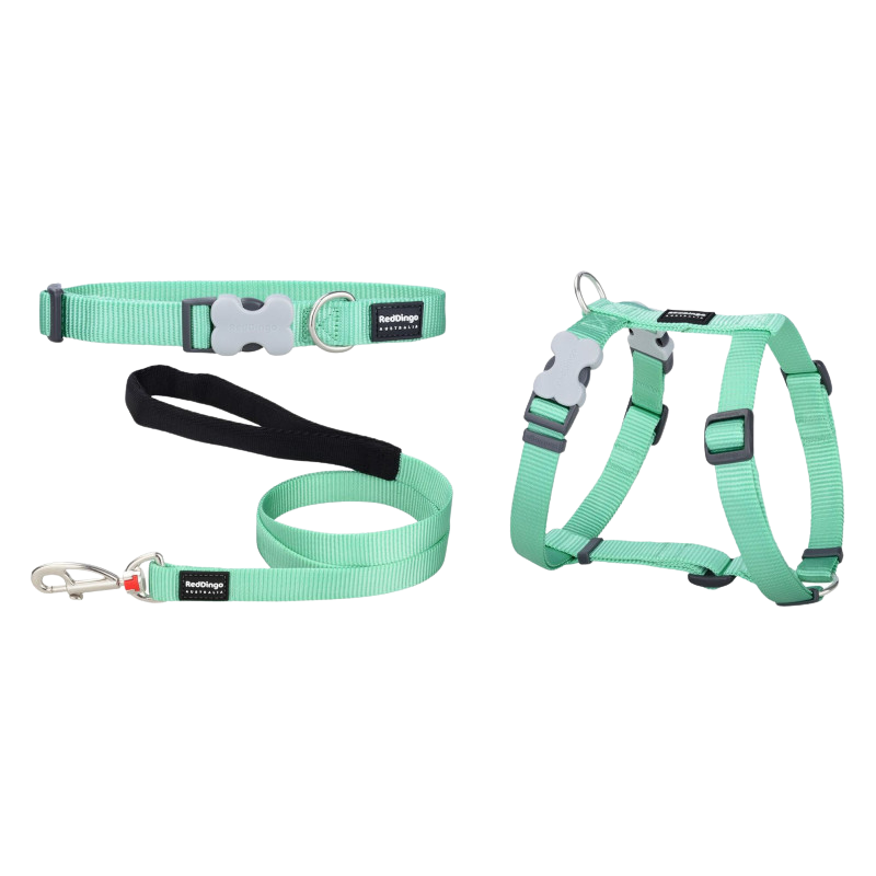 Set aus Halsband, Geschirr und Leine in Pastellgrün für Welpen
