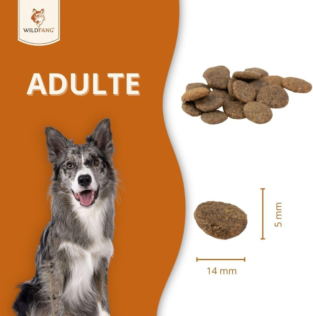 Trockenfutter mit Angus-Rind für ausgewachsene Hunde