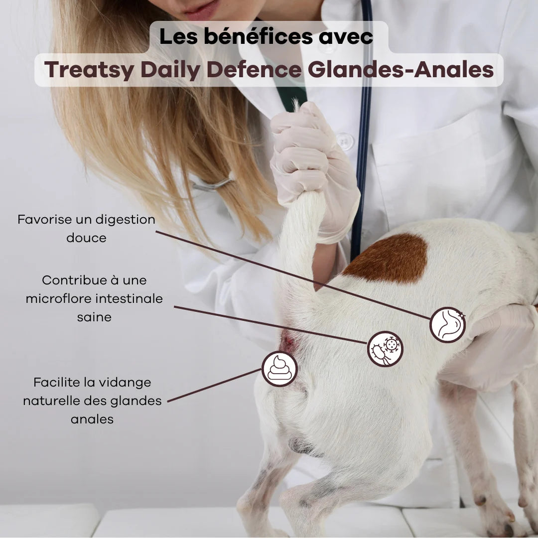 Nahrungsergänzungsmittel für die Analdrüsen von Hunden