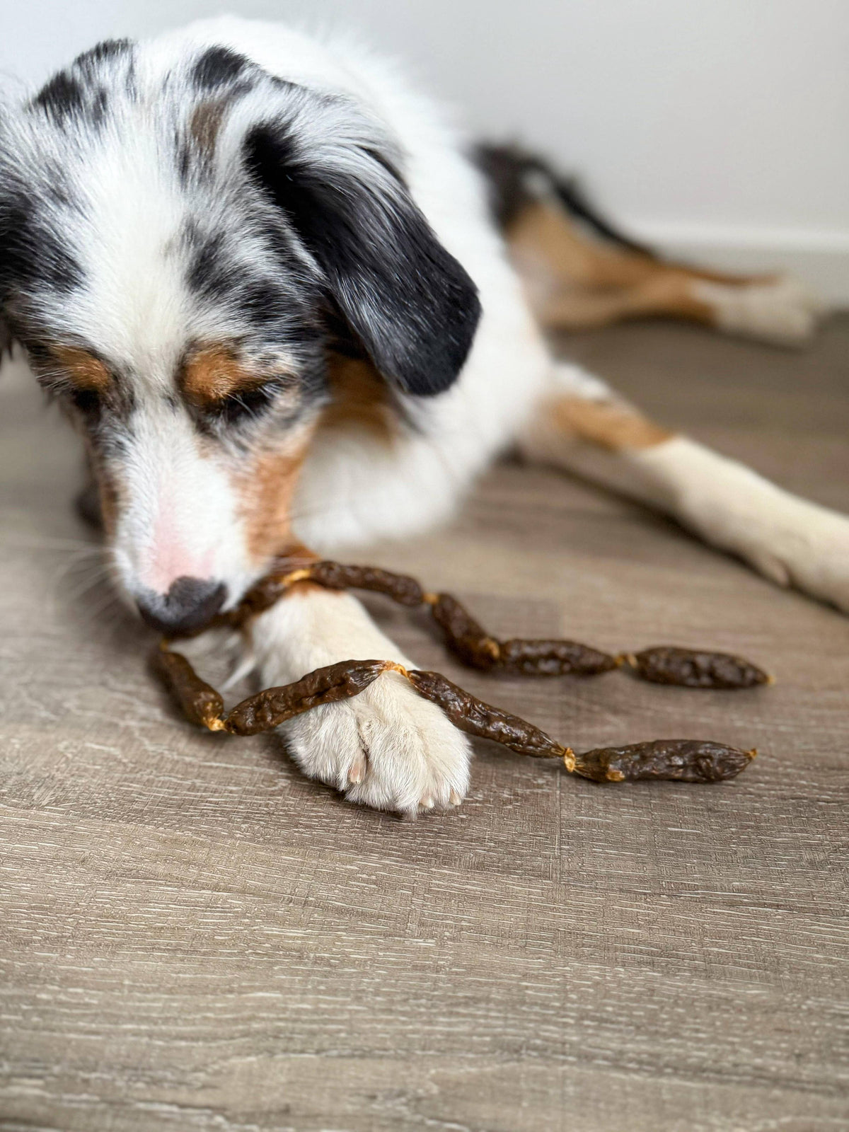 Saucisses séchées de dinde pour chiens