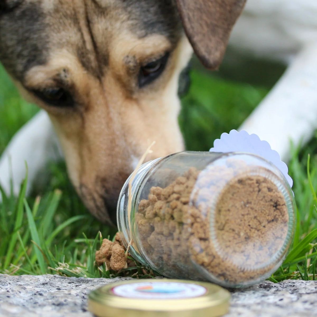 Crumble de poulet déshydraté pour chiens et chats