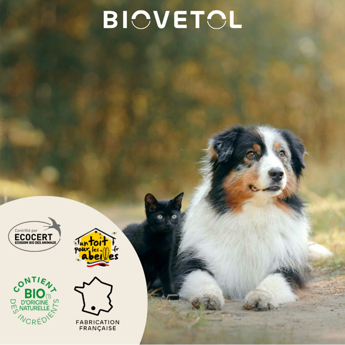 Bio-Zahnlotion für Hunde und Katzen