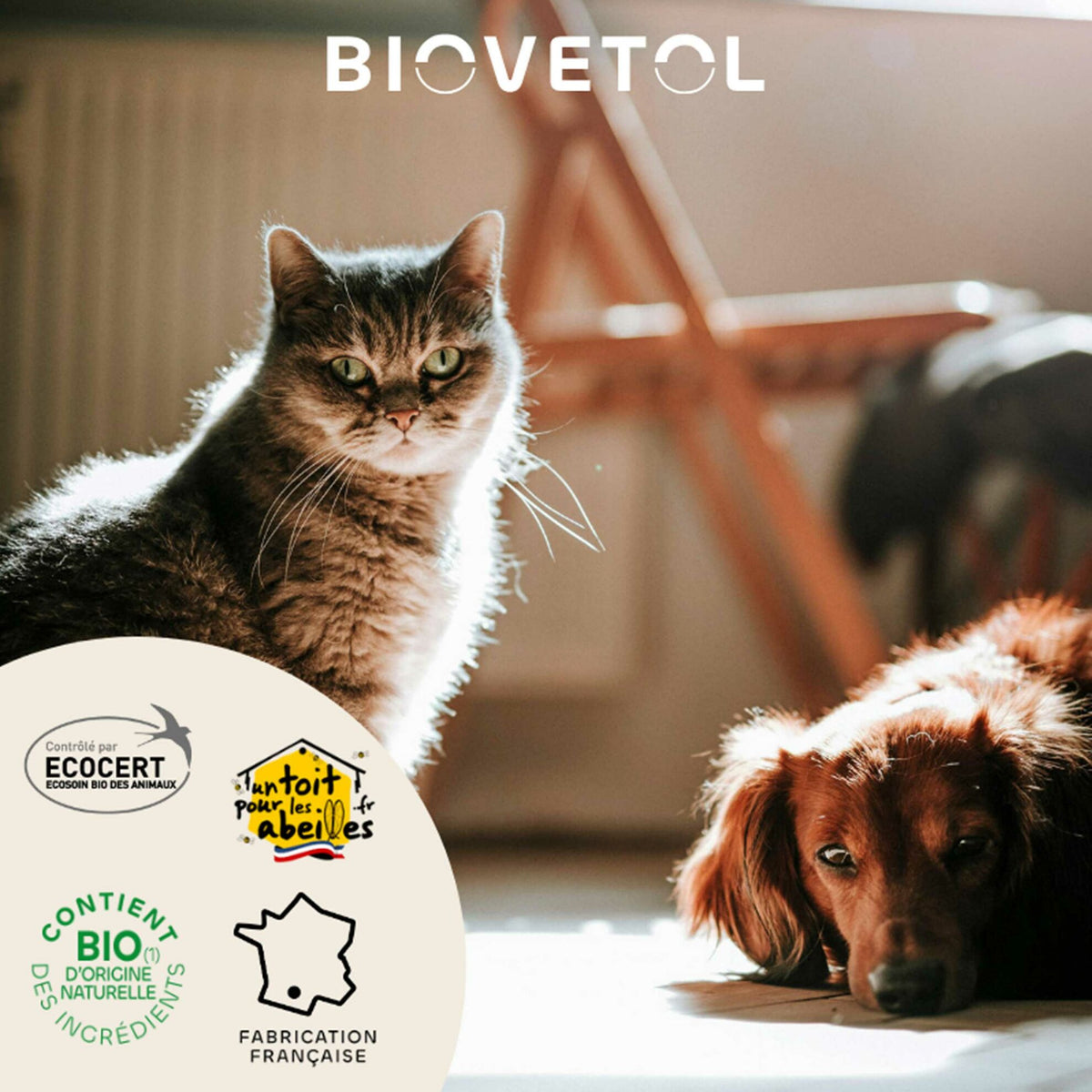 Bio-Augenlotion für Hunde und Katzen
