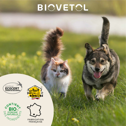 Bio-Reinigungslotion für die Ohren von Hunden und Katzen