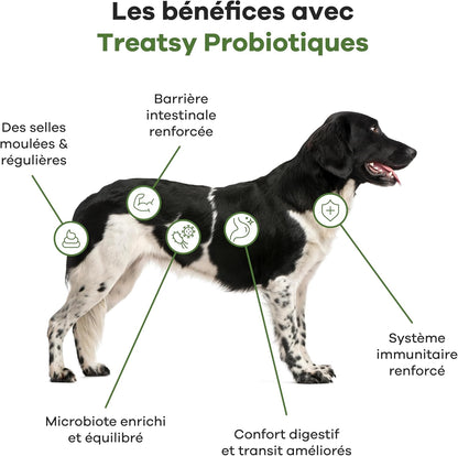Probiotisches Hühner-Nahrungsergänzungsmittel für Hunde