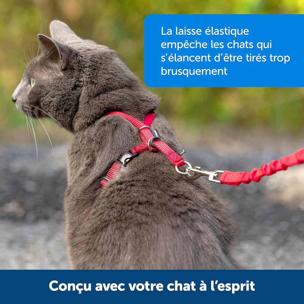 Easy Walk® Geschirr und Leine für Katzen