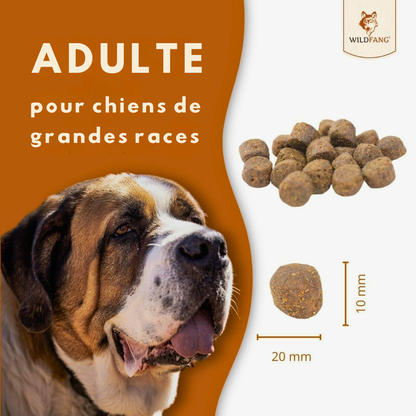 Trockenfutter mit Lachs und Forelle für ausgewachsene Hunde