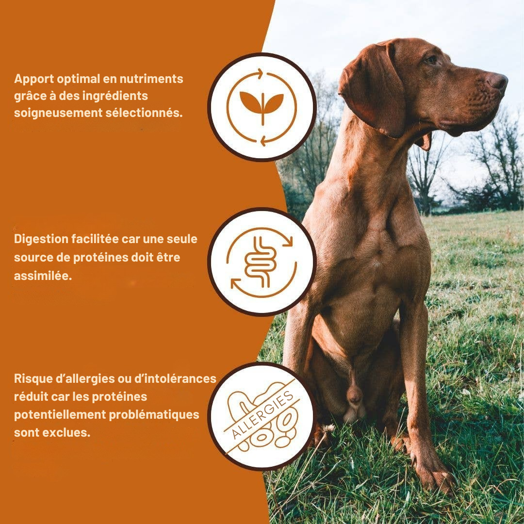 Pâté pur bœuf qualité BARF pour chiens adultes