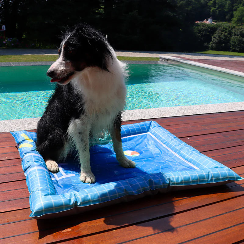 Kühlmatte mit Poolmotiv für Hunde