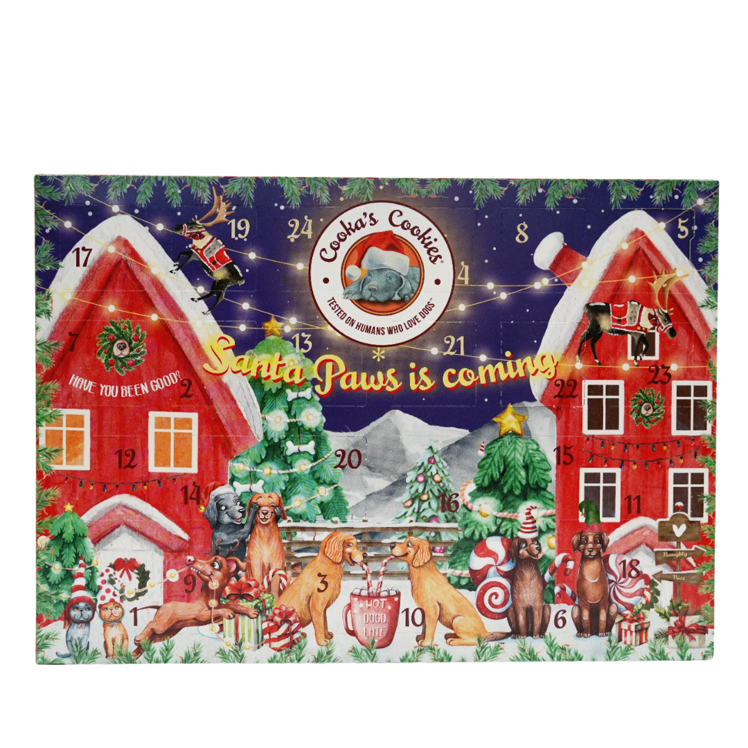Calendrier de l’Avent 48 friandises pour chiens