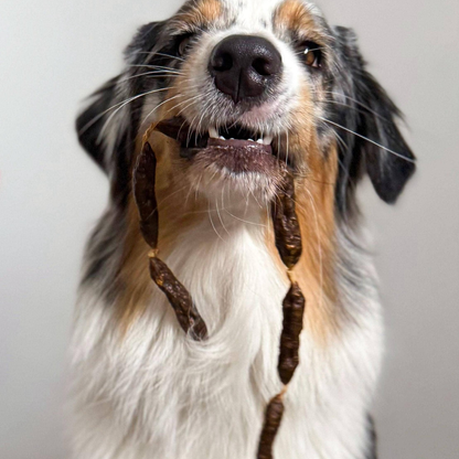 Saucisses séchées de bœuf pour chiens