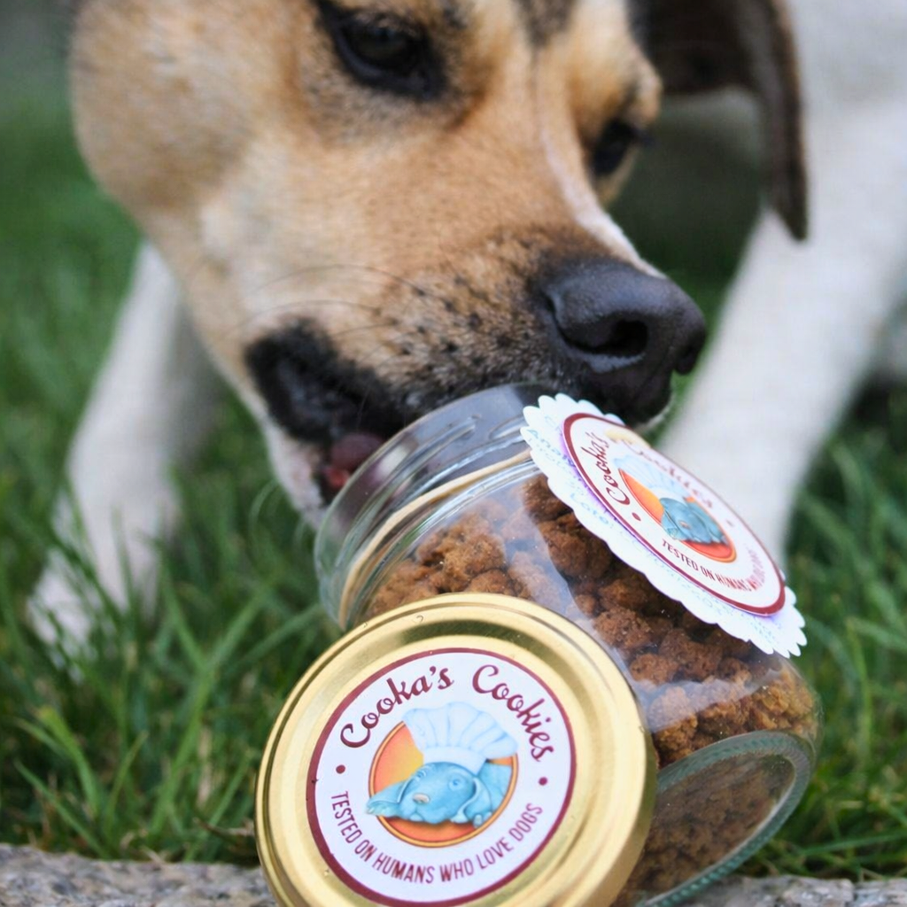 Getrocknetes Hühnchen-Crumble für Hunde und Katzen