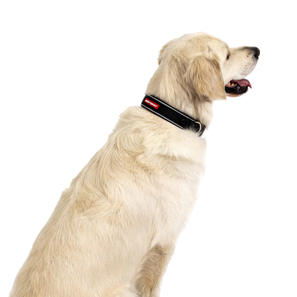 Neo-Classic-Halsband aus Neopren für Hunde