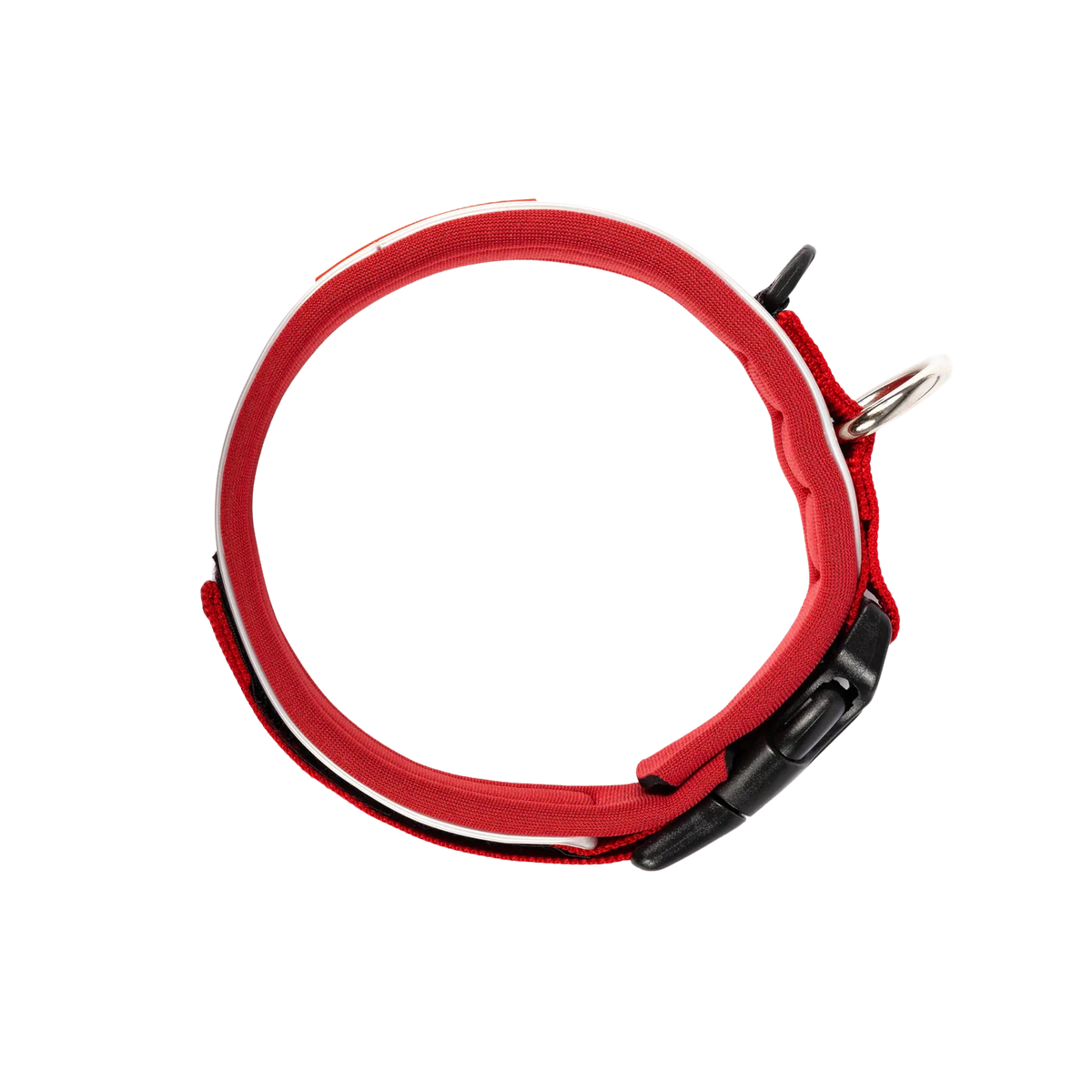 Neo-Classic-Halsband aus Neopren für Hunde