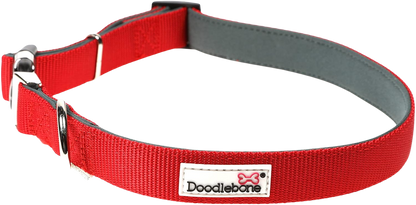 Verstellbares, gepolstertes Hundehalsband
