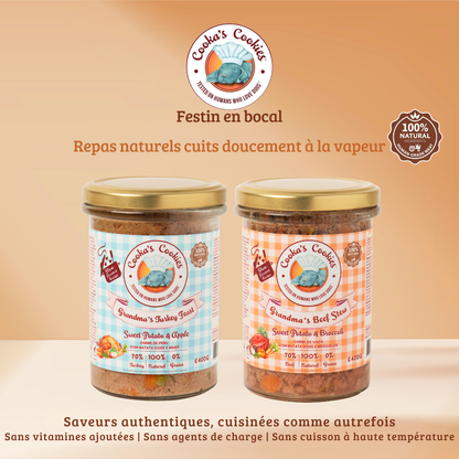 Repas cuisiné à la dinde et aux légumes pour chiens
