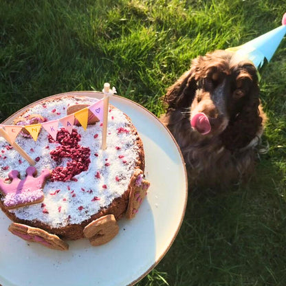 Backset für Krillkuchen für Hunde