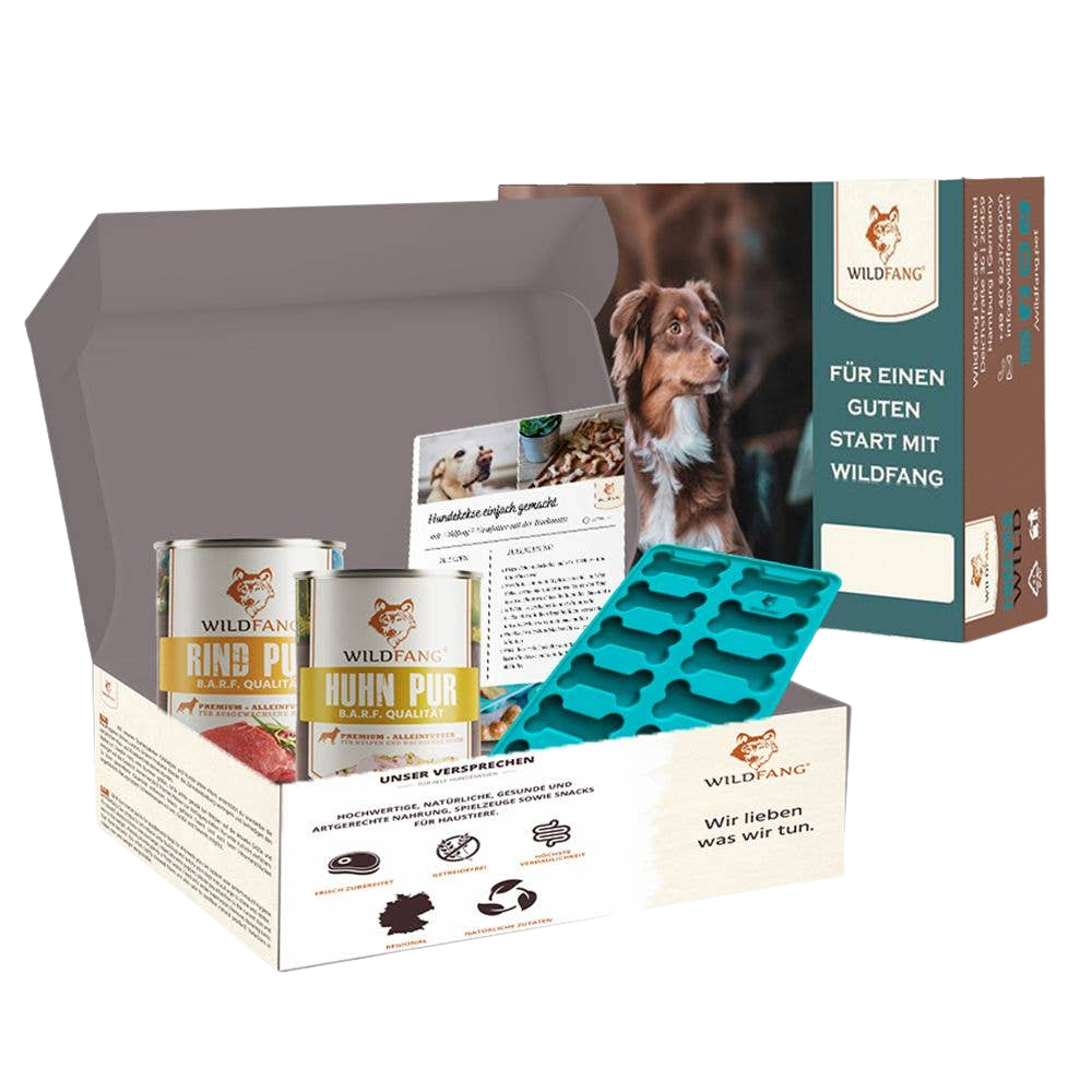 Kit de cuisson de biscuits maison pour chiens