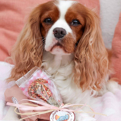 Leckerli mit Pute und Seehasen für Hunde