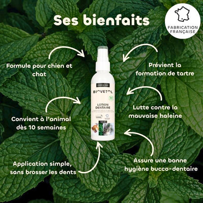 Bio-Zahnlotion für Hunde und Katzen