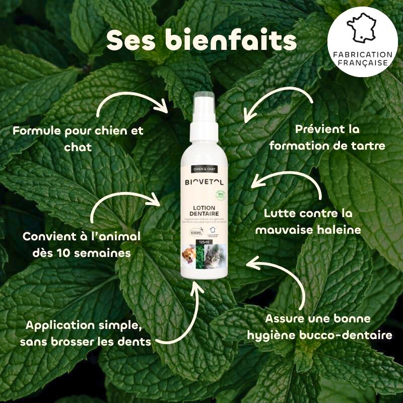 Bio-Zahnlotion für Hunde und Katzen
