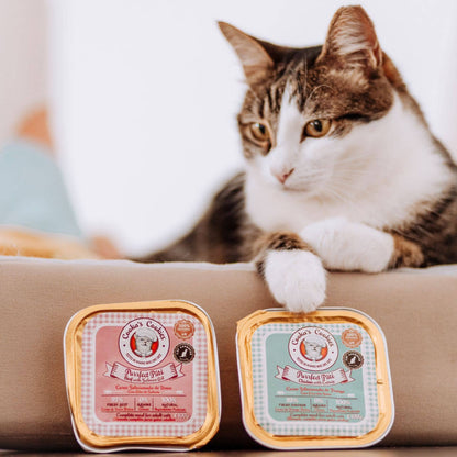 Hähnchenpastete mit Katzenminze