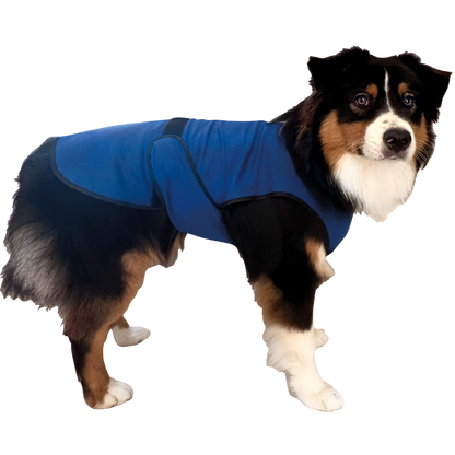 Kühlweste für Hunde