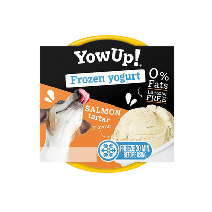 Laktosefreier Joghurt zum Einfrieren mit Lachs-Tartar-Geschmack für Hunde und Katzen