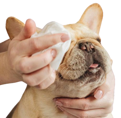 Lingettes de toilettage naturelles en bambou