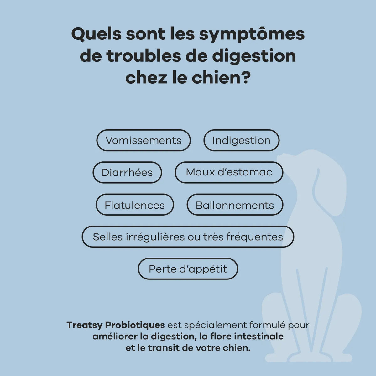 Complément alimentaire probiotiques pour chiens