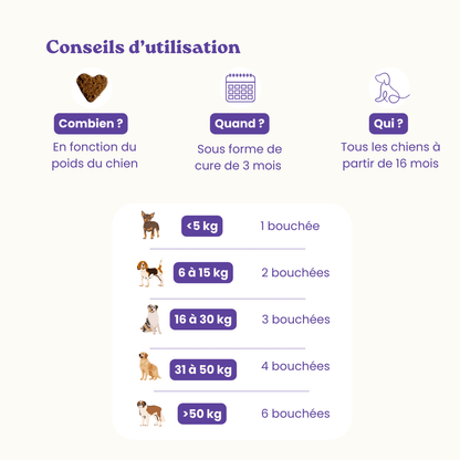 Anti-Stress-Nahrungsergänzungsmittel für Hunde