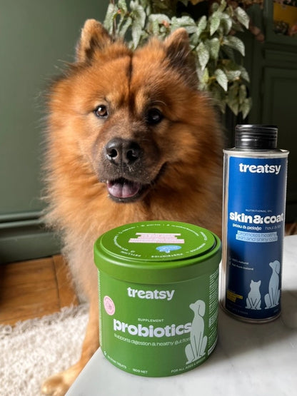 Probiotisches Hühner-Nahrungsergänzungsmittel für Hunde
