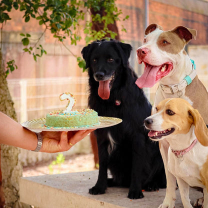 Backset für Krillkuchen für Hunde
